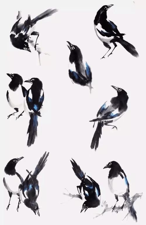 三种最常见鸟画法6步速成
