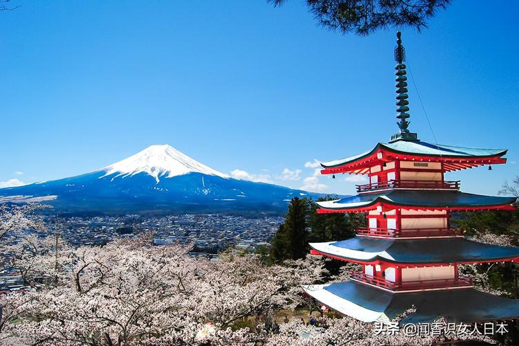 2020年外国人评选的日本热门旅游景点30选,你去过多少?