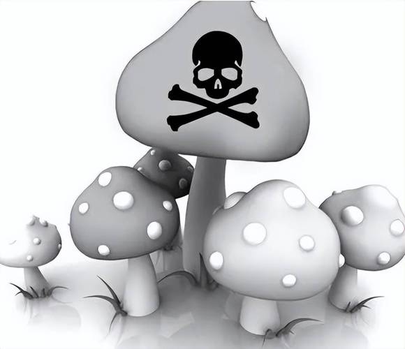 原创四川首例这种致命毒蘑菇50克就能致命如何辨别毒蘑菇