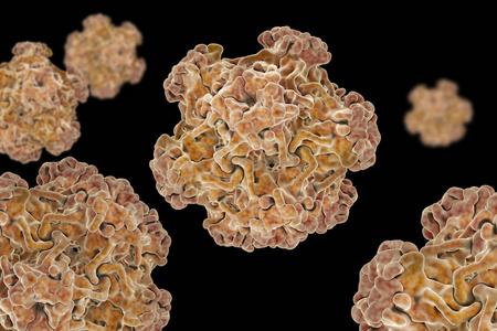 从人乳突病毒的 l1 蛋白中组装的小病毒类微粒的结构 16 pdb 1dzlhpv