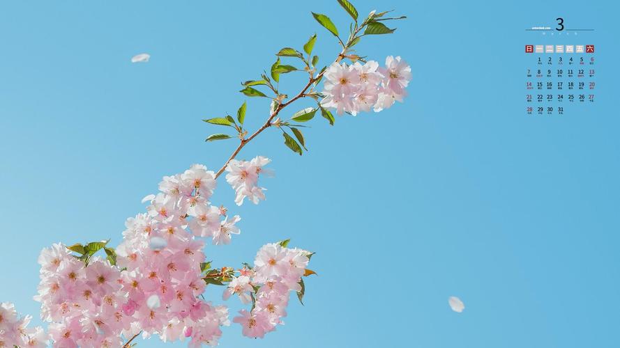 2021年3月唯美淡雅的樱花风光日历,月历壁纸-回车桌面