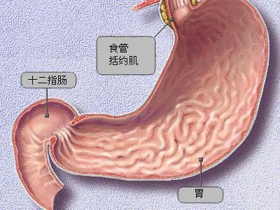 胃窦炎的主要危害有哪些
