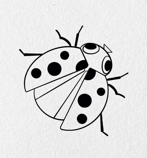 昆虫  #七星瓢虫  #七星瓢虫简笔画  #创意美术七星瓢虫  #昆虫 