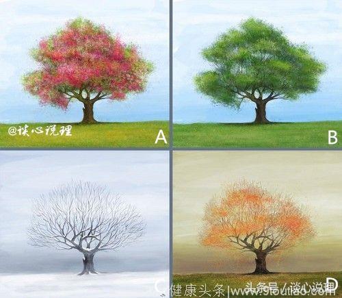 心理测试:四棵树选一个,测试你内心深处最牵挂的人是谁?
