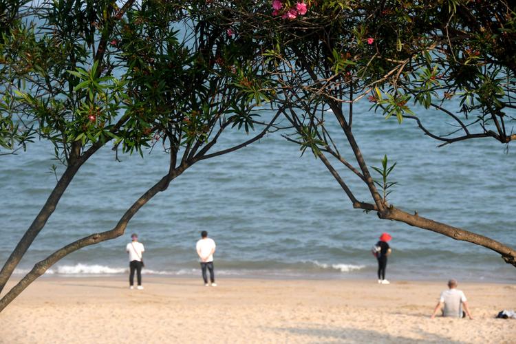 掩映在绿树红花之中,三三两两游客漫步在海滩,正是厦门慢生活的真实