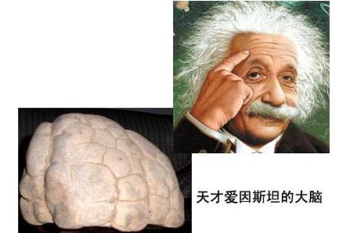 爱因斯坦智商有多高他是世界上最聪明的人吗
