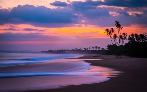 日落,海,海滩,棕榈树,红色的天空 壁纸 - 1280x800