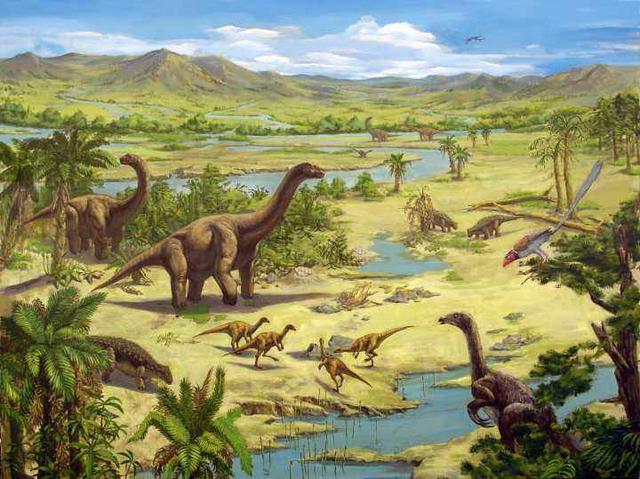 是恐龙时代最后的纪元,距今1.45亿～0.65亿年,延续了约8000万年.