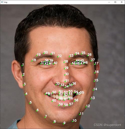 《dlib库》中详细介绍了定位人脸,绘制关键点,勾勒五官轮廓,人脸对齐
