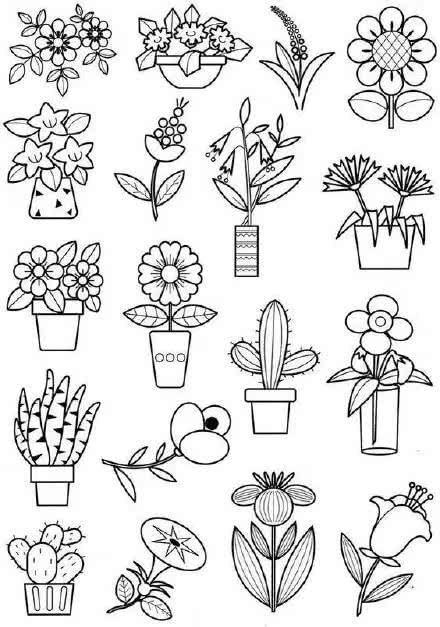 简笔画图片植物绿植花卉花朵多肉黑白线描稿线稿黑白简笔画手绘临摹