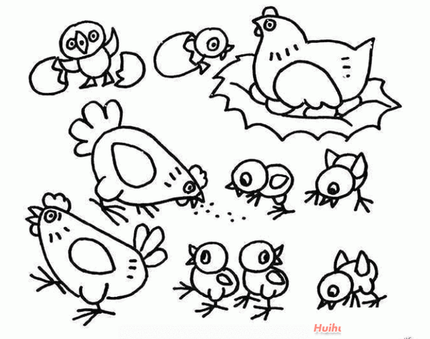 画母鸡简笔画简单好看带颜色母鸡给小鸡喂食的简笔画母鸡和小鸡简笔画
