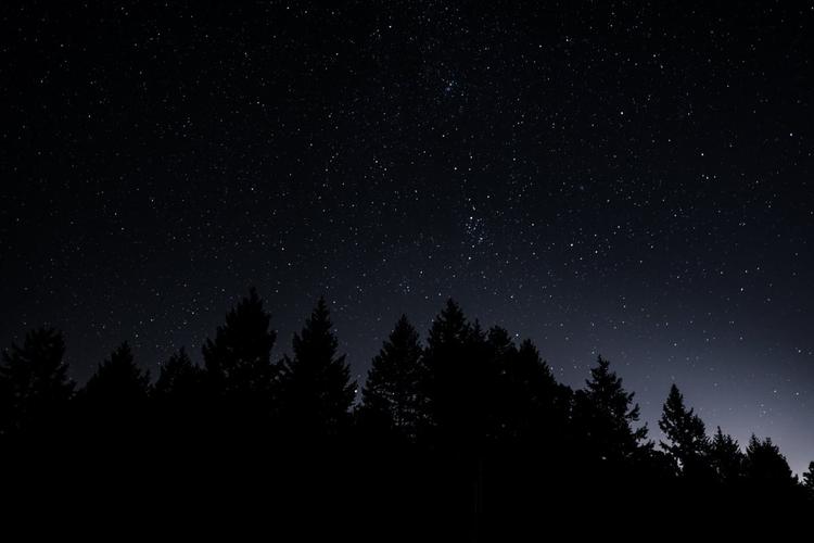 星空树木晚上风景8k图片