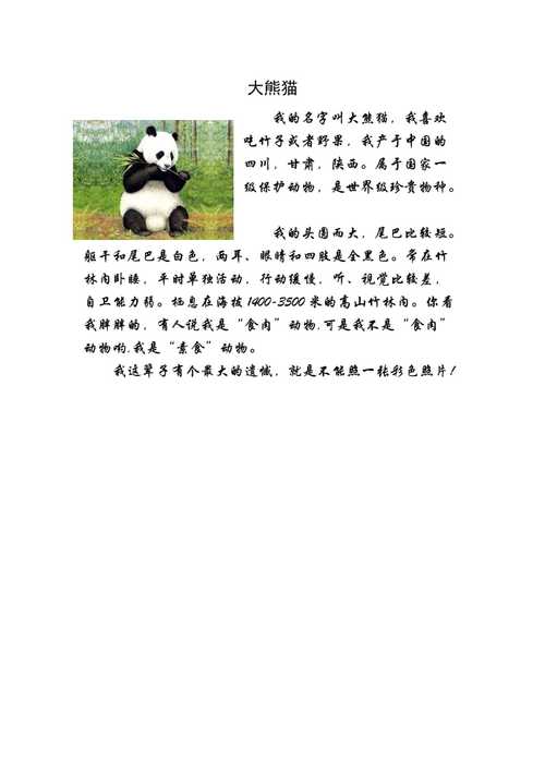 大熊猫动物名片