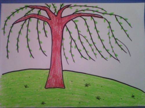 柳树图片儿童画春天的柳树儿童画儿童画柳树第15届国际少儿书画大赛