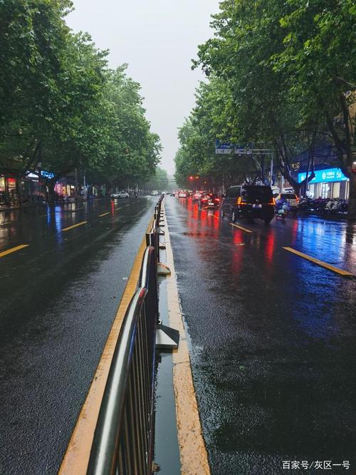 雨后的郑州街头