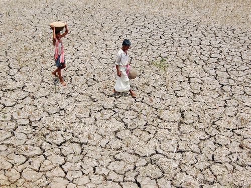 2009年5月14日,在印度阿加尔塔拉,一名农夫和他的儿子走过干旱的田地.