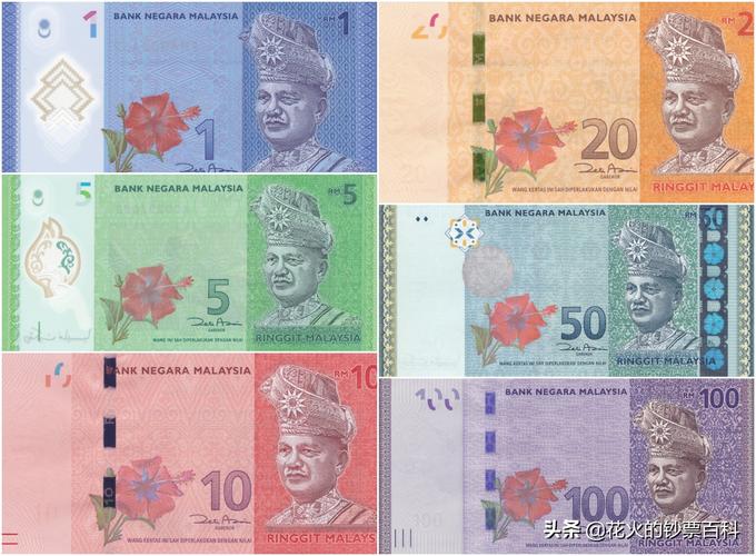 带你看看马来西亚的钞票,大红大紫的还挺好看