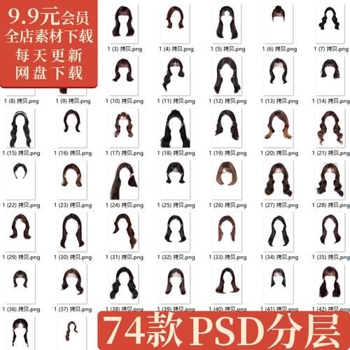 海马体学院风女士大学女生证件照修图头发型免抠png透明刘海素材