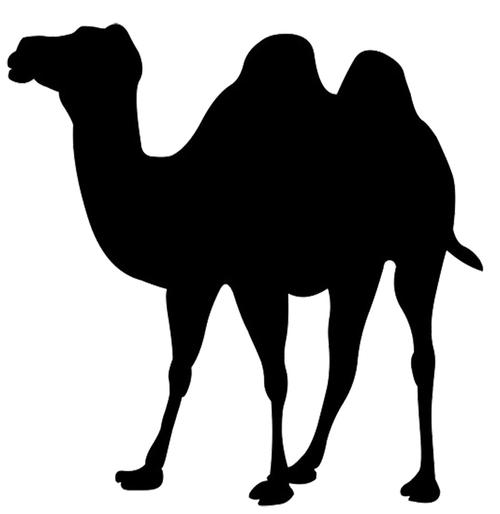黑色双峰骆驼剪影免抠png透明图层素材设计模板素材