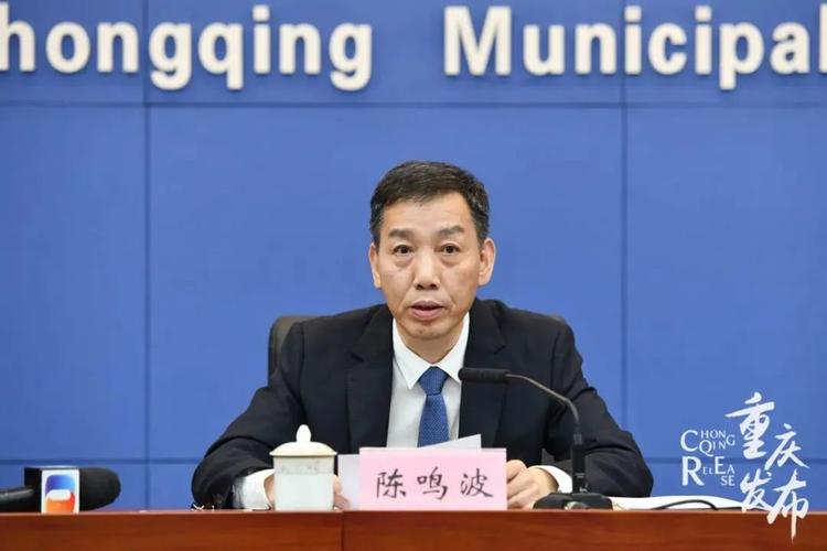 重庆市常务副市长陈鸣波出任新职
