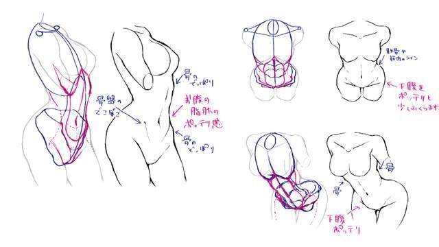动漫人物腹肌怎么画教你女生肚子的画法教程