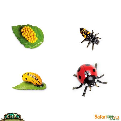 七星瓢虫玩具昆虫动物模型仿真套装美国进口safari精品幼儿园教具