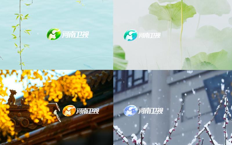 河南卫视回应台标有四季之分感受中国节气之美
