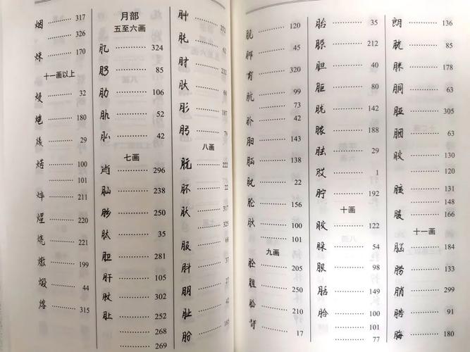 布依族方块古文字字典新书在荔波发布