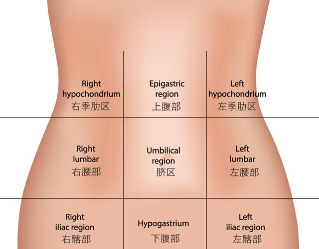 四分法是以肚脐为中心,横平竖直地画个十字,上腹部指的是肚脐水平面