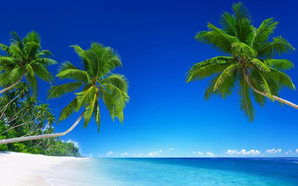 高清美丽的热带海滩风景图片