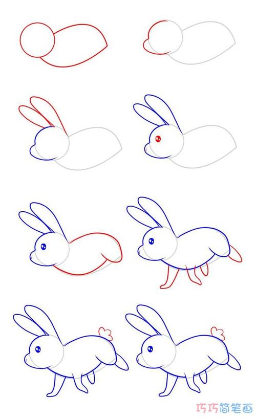 奔跑的小白兔简单画法步骤_小白兔简笔画图片