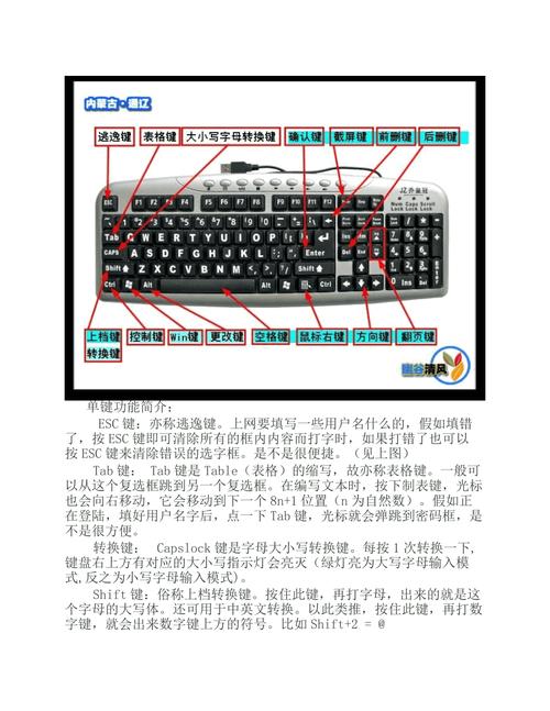 电脑键盘上几个功能键的功能介绍_第1页