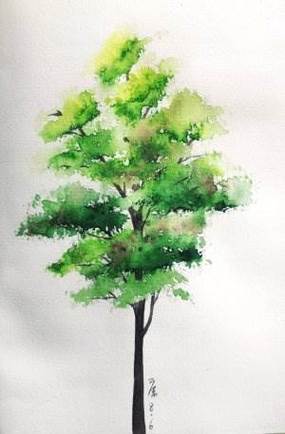 树的水彩画树的水彩画图片简单