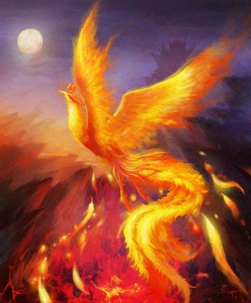 涅盘重生是凤凰,它是百鸟之王,是吉祥和瑞的象征.