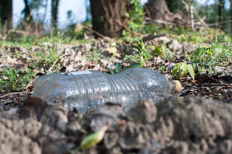 地球垃圾环保池塘边森林里的塑料瓶.环境污染.环境问题与灾害.