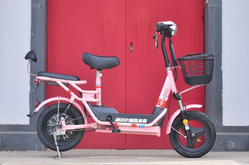 名岛电动车新国标成人两轮电动自行电瓶车小型助力车脚电动脚踏车