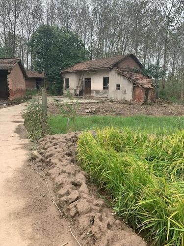 凋敝的农村,一栋破烂的老房子就是一个农民一生的写照