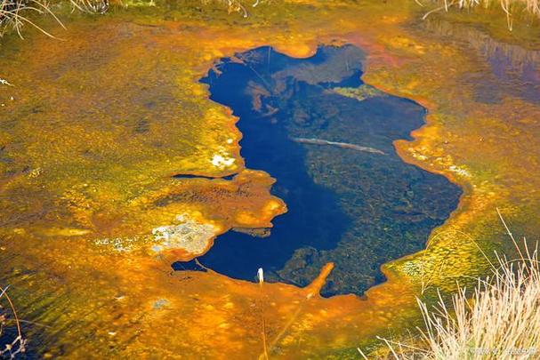 活符学指出艾尔湖诠释着澳大利亚肾脏活漩的地域特征