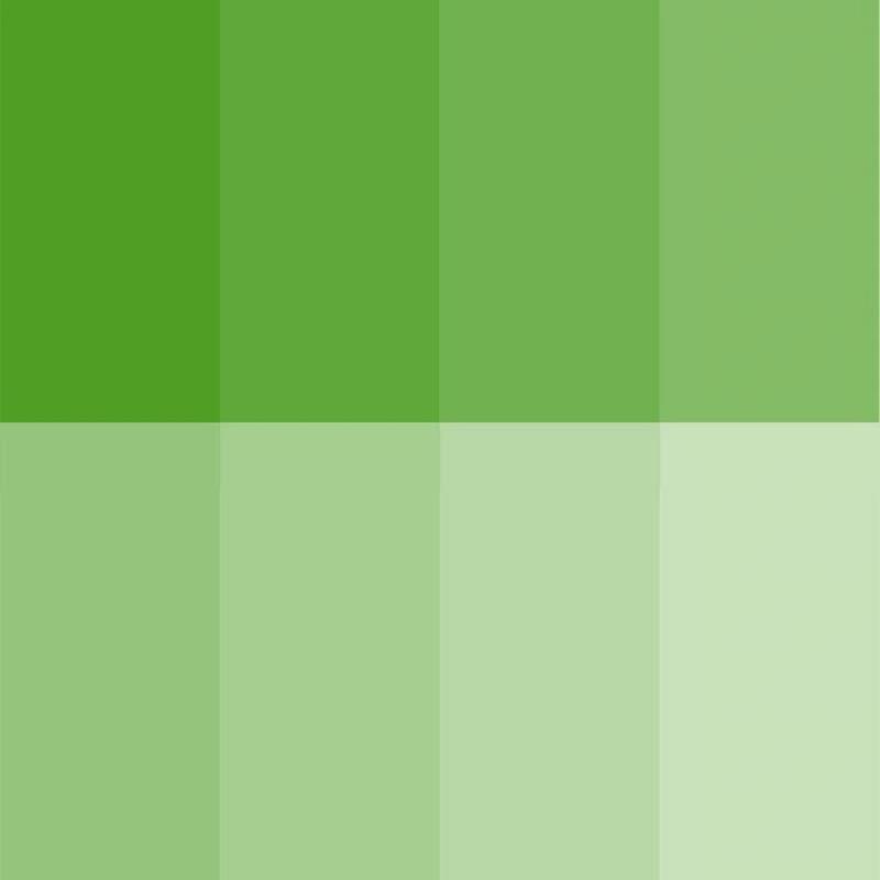 纯色绿色手机壁纸,开启绿色屏幕～    第一期手机纯色壁纸 会有人用到