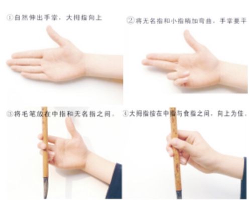 要使用毛笔我们就要学会正确的握笔姿势,把每个手指都利用起来,让五个
