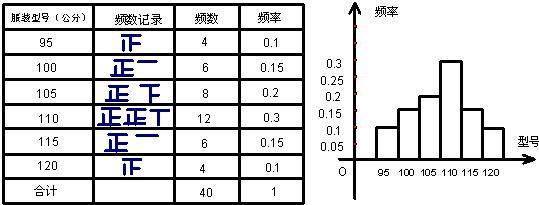 解:(1)频率分布表如下表,频率分布直方图如图