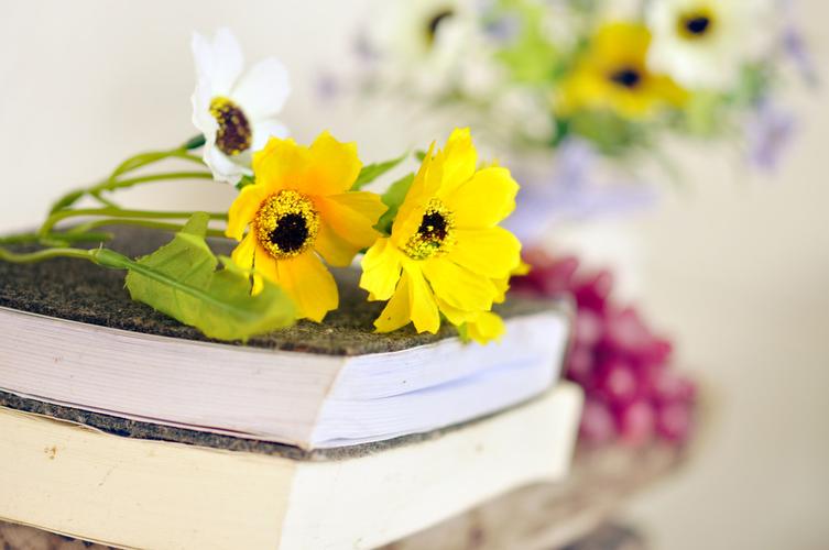 书和花,书籍和花瓶股票图像中的花朵