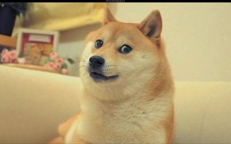 how the heck do you pronounce "doge," anyway?