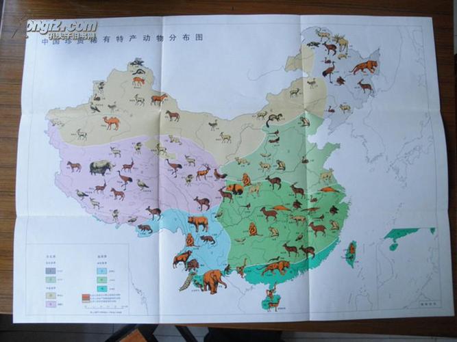 中国自然地理动物地理(附1全张彩色中国珍贵稀有特产动物分布图)