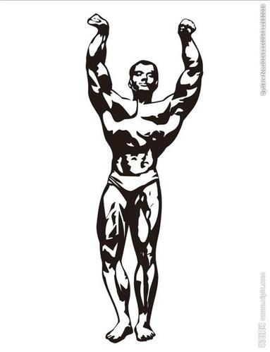 关 键 词 肌肉男 健身 素描 速写 强壮 插画 装饰画 简笔