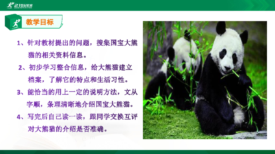 统编版小学语文三年级下册第七单元习作国宝大熊猫课件18张
