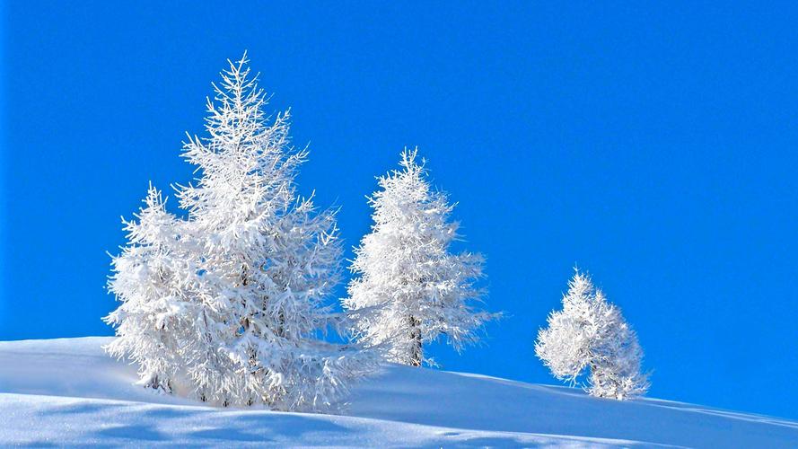 唯美冬季雪景图片高清宽屏桌面壁纸-风景壁纸-壁纸下载-美桌网