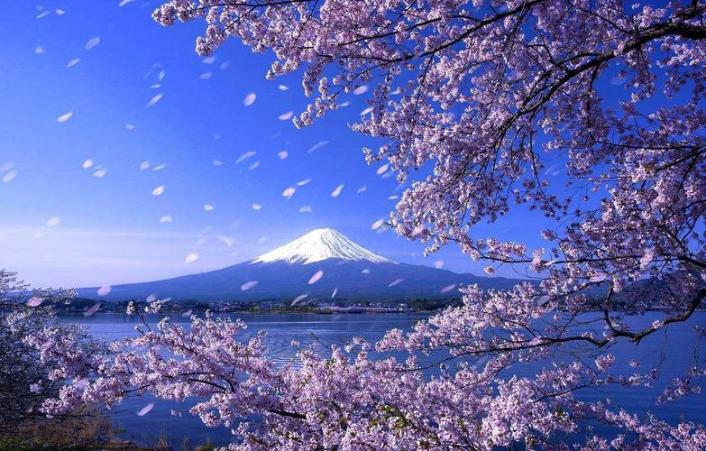 独家线路·樱您而来--日本8天7晚樱花摄影之旅(确定成团,现在还有少量