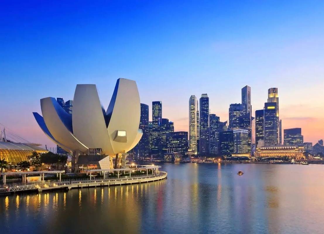 新加坡官方语言为新加坡语,马来语,英语和中文,首都位于新加坡市.