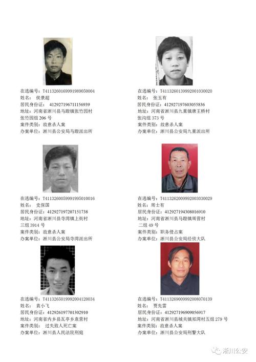 南阳警方集中公开通缉48名在逃人员_淅川县